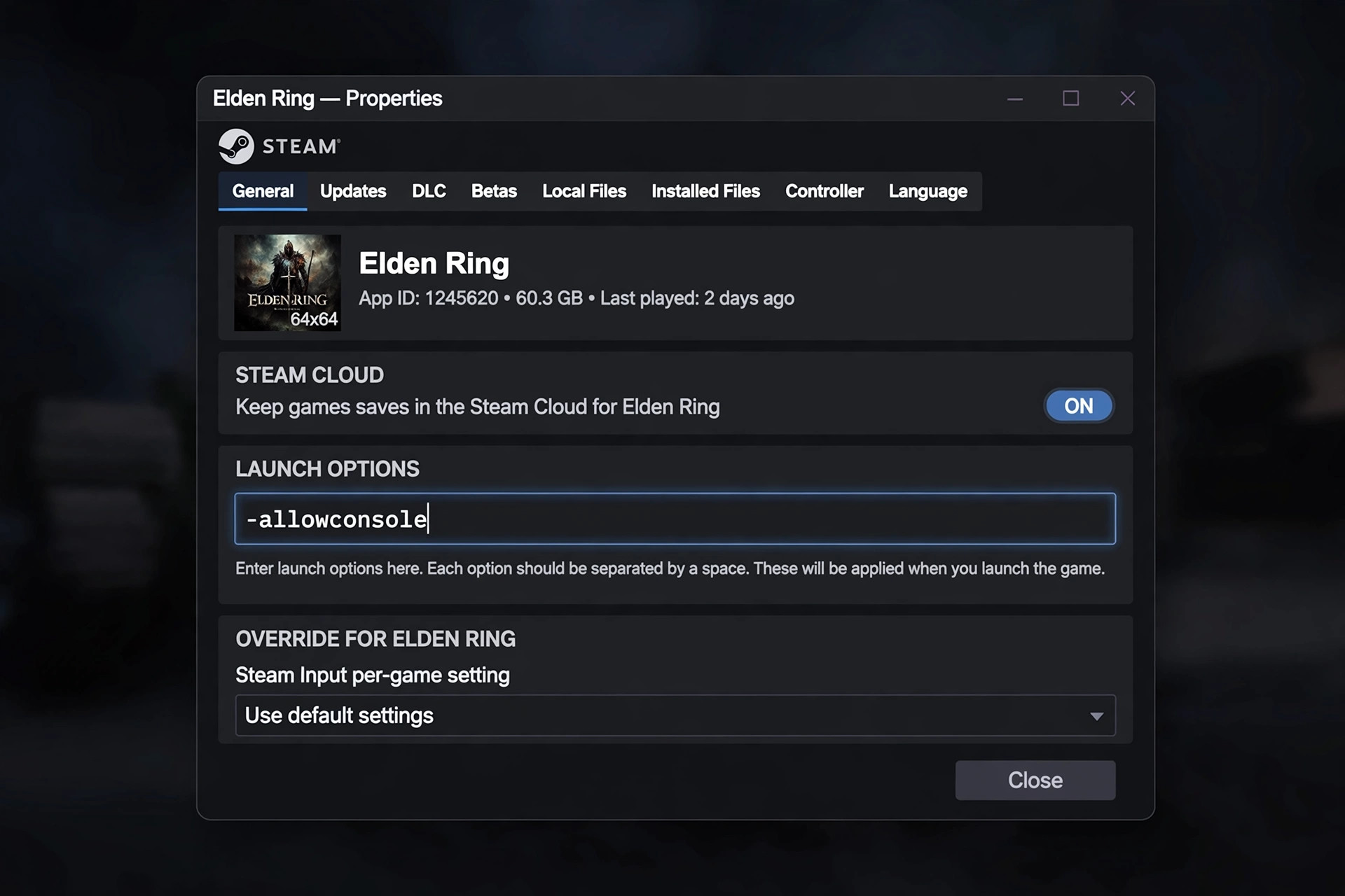 Steam launch options box with -allowconsole typed in